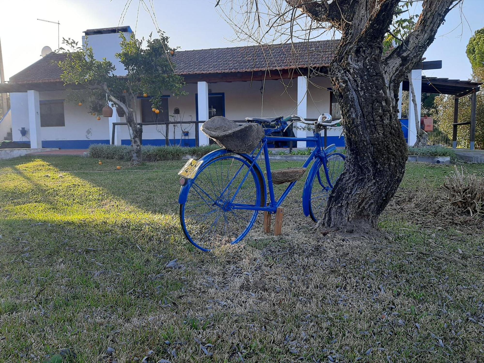 Monte Das Laranjeiras Corticadas do Lavre Bagian luar foto